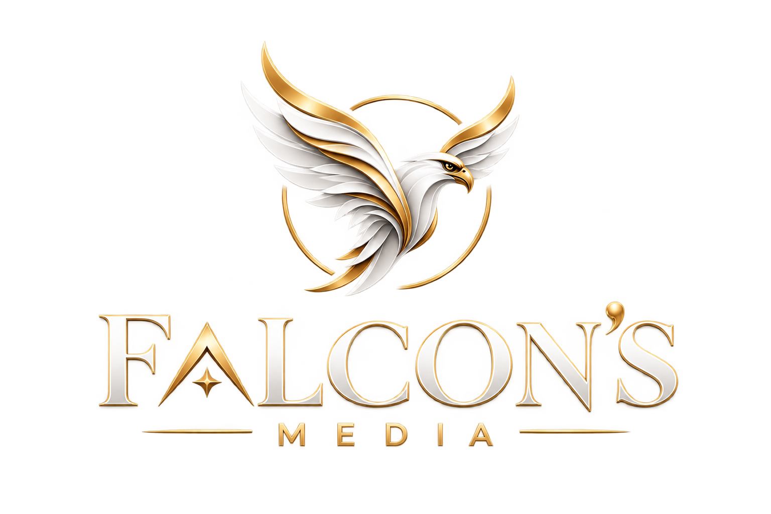 Falcon's Media